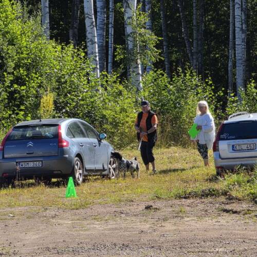 Nose work klass 1, mot tävling start 28/10